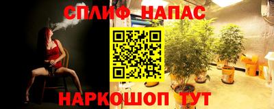 а пвп мука Будённовск