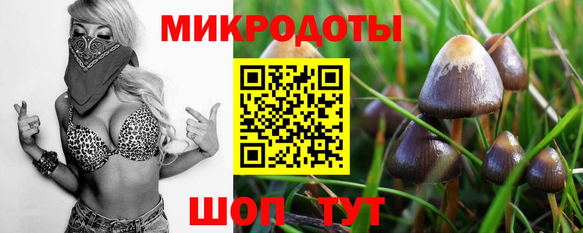 Псилоцибиновые грибы ЛСД  Вход с VPN  Чапаевск 