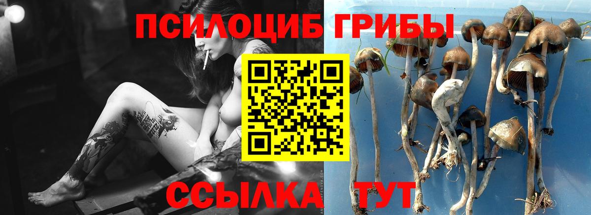 Псилоцибиновые грибы ЛСД Чапаевск